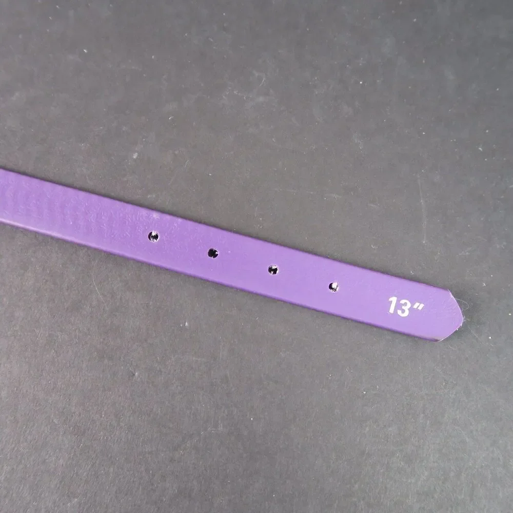 NWT 13” Purple Small Weaver Terrain Dog Brahma Webb Collar D.O.G